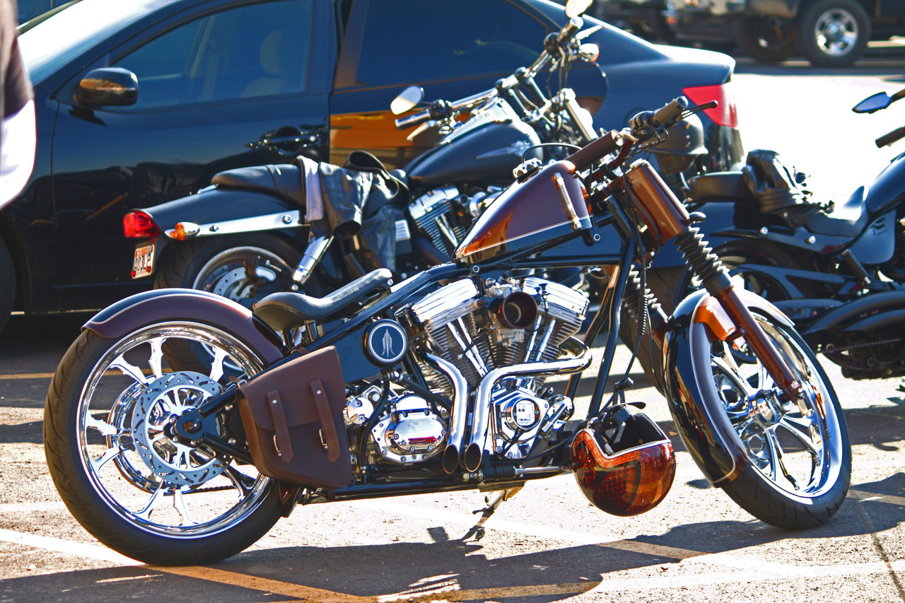 lifelikefoto:  Sweet Bobber.