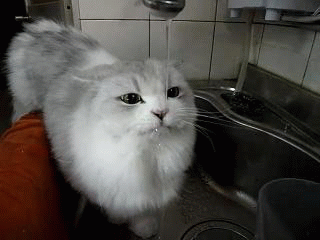 itll-never-be-overr:  when youre really drunk and even water tastes like vodka. 