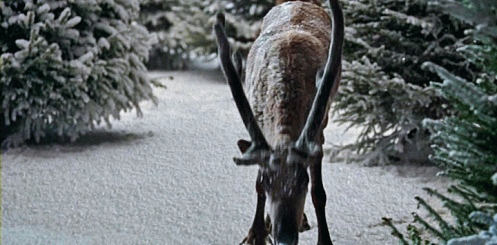 pommellbloom:  BBC One’s Christmas ident for 2009 (x) 
