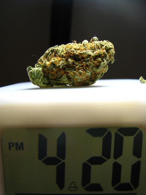 We Get Blazed