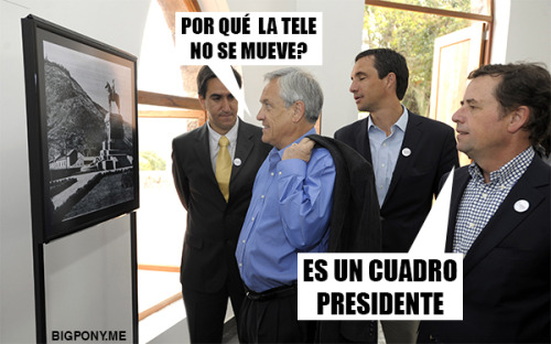 bigponyhq:  Piñera pavo 