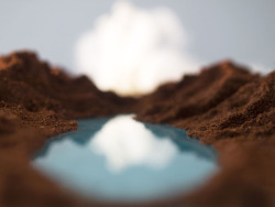 razorshapes:  Edible Landscapes by Eszter