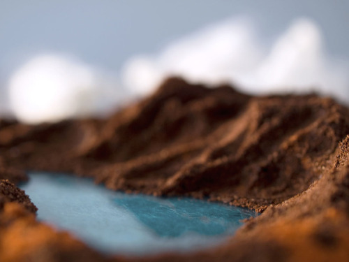 Porn photo razorshapes:  Edible Landscapes by Eszter