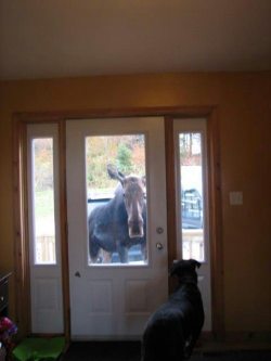  well…look whos at the door :)