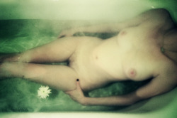 amandacharchian:  a girl, a flower, a bath.