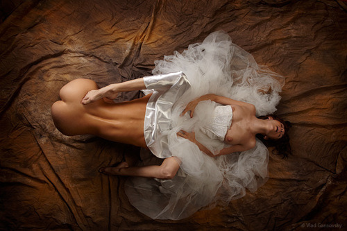 tumblr photo hyaenabrunnea 0