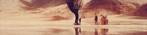 batmaned:    visually stunning movies → the fall   
