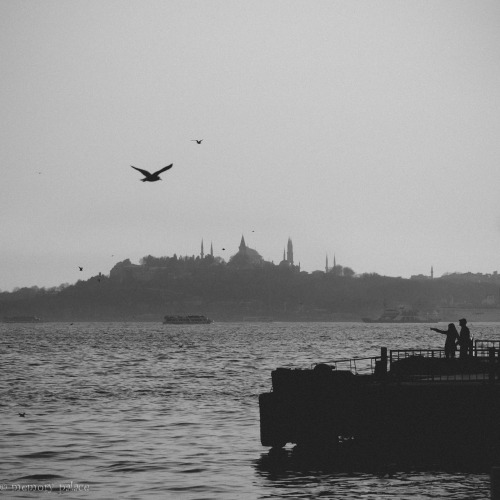~silhouettes Of Istanbul~