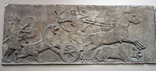 ancientart:Assyrian lion hunting relief from Nineveh.Photo taken by Ealdgyth at the British Museum, 