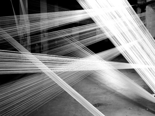 fiore-rosso:  Rowan Mersh | Invisible Boundaries. 