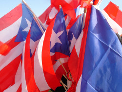 javipr:  Banderas de Puerto Rico.  - Fotos