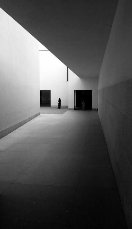 fiore-rosso:  Enrique Sánchez Muñoz. 