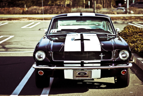 eagl3:  America Icon by Andrew Cragin Photography on Flickr. 