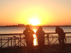 rubieeboobiee:  New York sunset