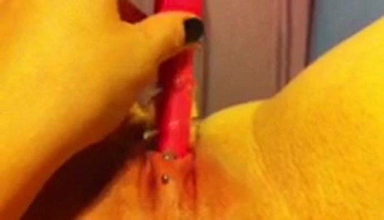 sexylilclosetfreak:  Taking my new toy for a test ride 