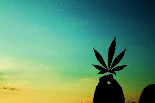 yapbicigara:  Sun is High! 
