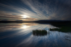 sapphire1707:  Grass Reflection by Iceland