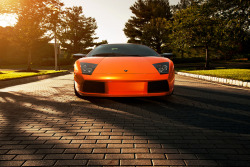 automotivated:  Ron’s Murcielago (by Ronaldo.S)