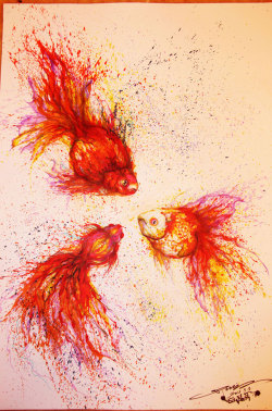 fer1972:  Fishes by Hua Tunan