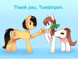 raikissu:  **click here for the second set of ponies** Well, it’s finally done!!So now you guys know why I’ve been taking as long as I did with this darn thing omg jsadkflahg //I’m really sorry I couldn’t get every body in this giant thing but