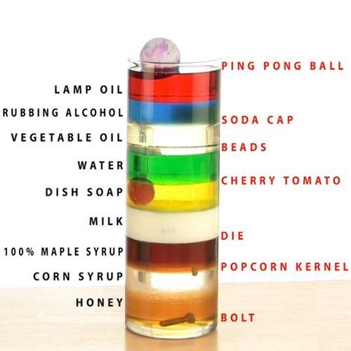 themagicalari:  wackd:  quackquackdontdocrack:  quatral:  yellowfangofspookyclan:  psychoactivelectricity:  Different densities of liquids    a must reblog for the scientific community  it took me a solid minute to figure out what the hell they meant