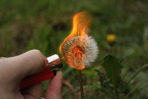 5ky-fall:  omg s/hes burning future dreams &lt;/3 
