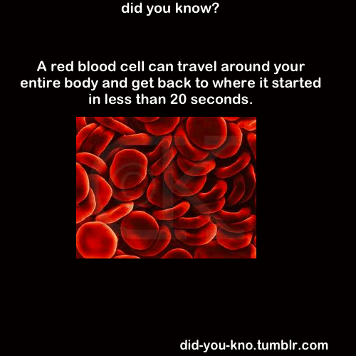 did-you-kno:  Source 