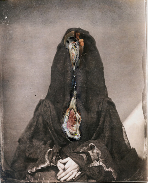 pulmonaire:  Zumra by Emir Sehanovic 