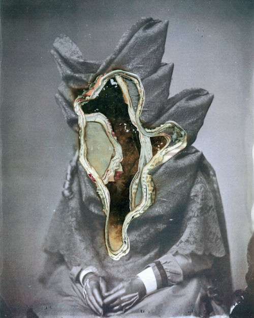 pulmonaire:  Zumra by Emir Sehanovic 