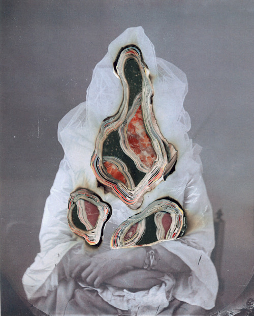pulmonaire:  Zumra by Emir Sehanovic 