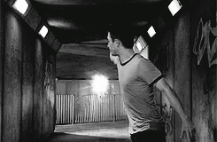 beautyhalf-betrayed-blog:   Happiness can be found even in the darkest of times  