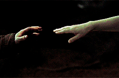 beautyhalf-betrayed-blog:   Happiness can be found even in the darkest of times  