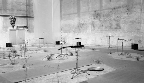 ruineshumaines:  From here  to ear (version 15) @ HangarBicocca, Milan, Italy. Site-specific installation by Céleste Boursier-Mougenot, curated by Andrea Lissoni. Videos here and here.   French musician and composer Céleste Boursier-Mougenot creates