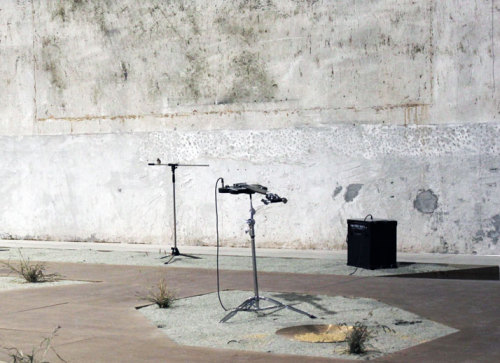 ruineshumaines:  From here  to ear (version 15) @ HangarBicocca, Milan, Italy. Site-specific installation by Céleste Boursier-Mougenot, curated by Andrea Lissoni. Videos here and here.   French musician and composer Céleste Boursier-Mougenot creates