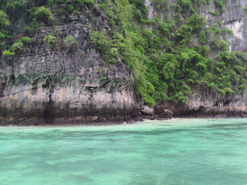 c-0conut-kids:  bohemian—sun:  phi phi island, thailand 2012   want more posts like this? check out 