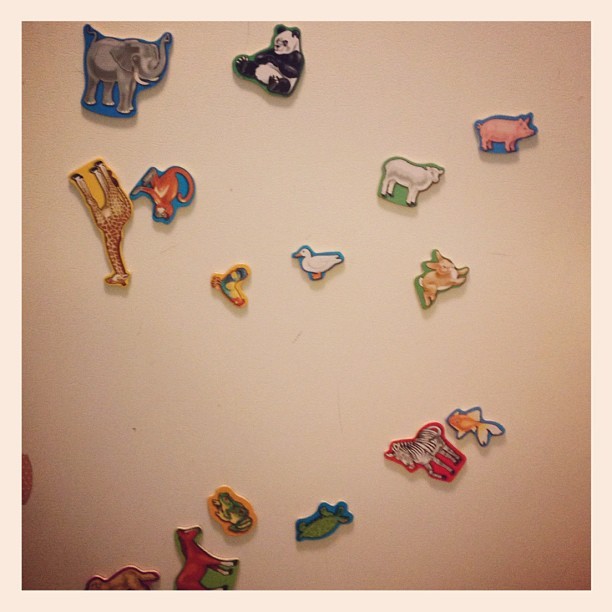 Nolan’s Fridge Animals (Taken with Instagram)