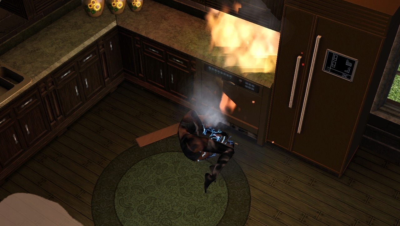 i hired a butler and she decided to fix the dishwasher first and she immediately electrocuted herself and died