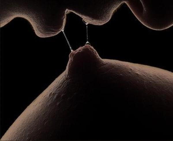 the-sextion:  The Sextion