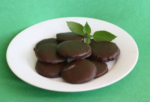 Unauthorized Girl Scout Cookie Recipes