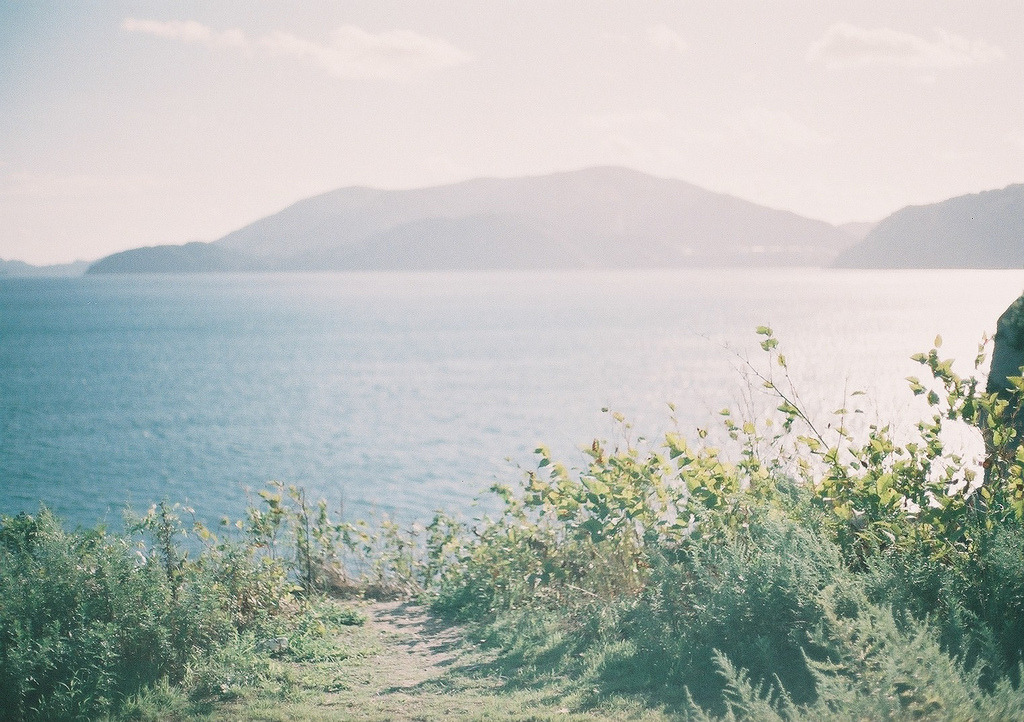 oh-thesimplethings:  (by *dapple dapple) 