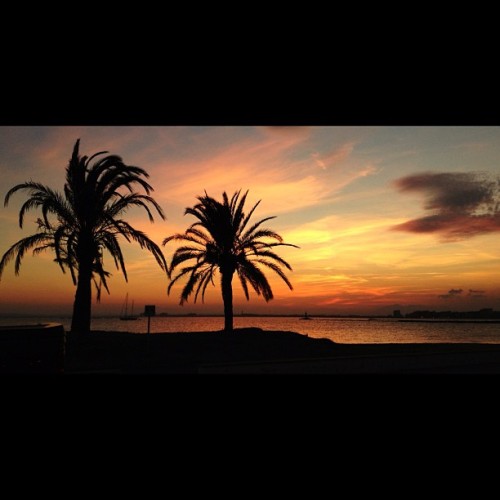 akima-pilot:  Sunset in Roses, Spain #sea #palmtree #palms #palm #sunset #seashore #spain #costabrava #roses #instamood #instaphoto #iphonesia #iphoneonly #photooftheday #bestphotos #sunsets #travel #evening (Taken with Instagram at Roses)