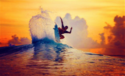 SURF ~ SURFER ~ SURFING