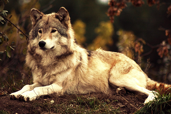 Winter is coming