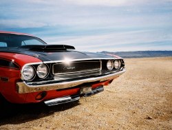 theoldiebutgoodie:  1970 Dodge Challenger