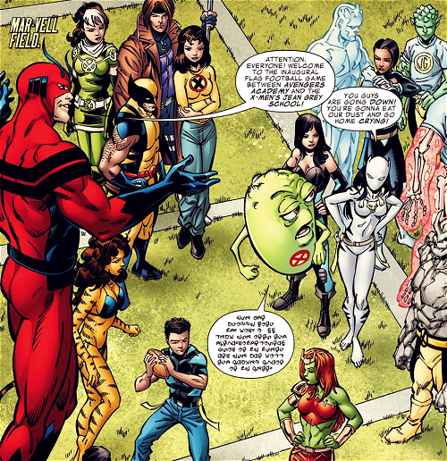 Hank: Attention, everyone! Welcome to the inaugural flag football game between Avengers Ac