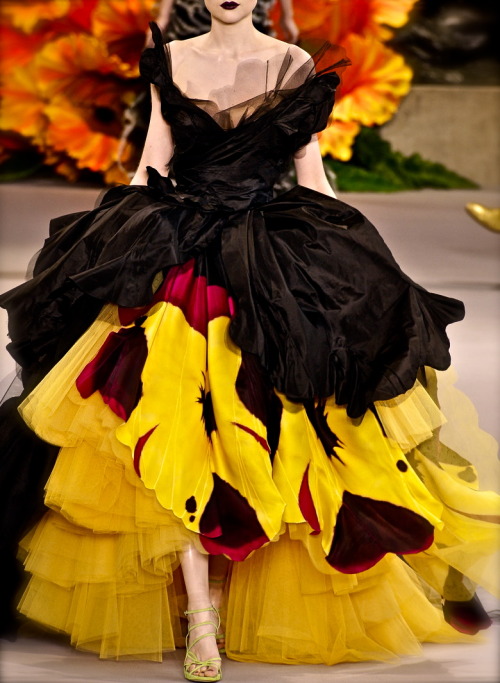 Amazing bright dress of the Christian Dior Haute Couture Fall Winter 2010 2011 collection