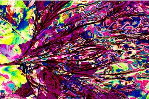 This is how alcohol looks under the microscope: