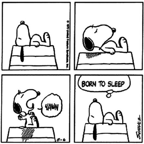 marcelosassa78: #Snoopy (Publicado com Instagram, no meu acochego!)