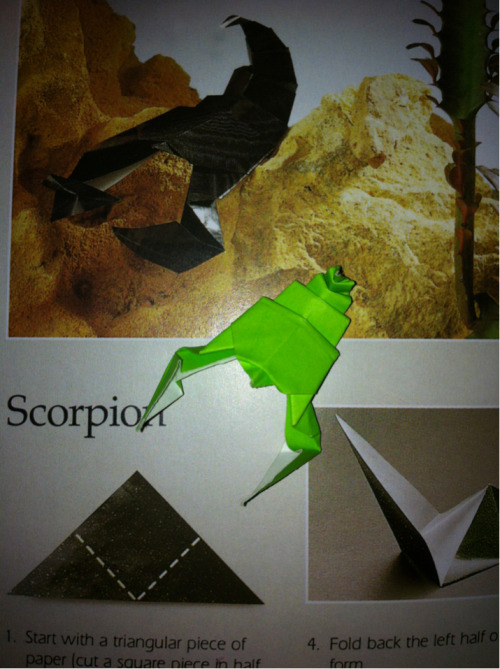 Day 242
Scorpion
1 Sheet
Model By: Unknown