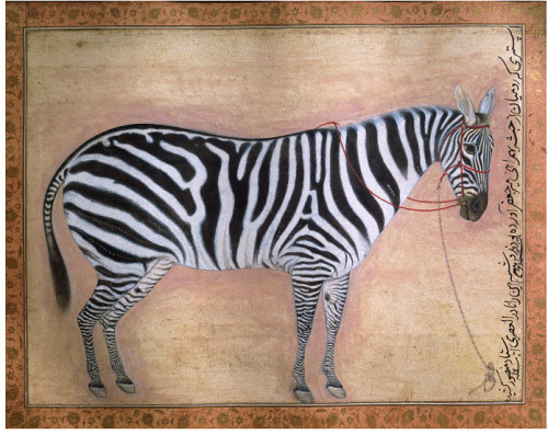 timur-i-lang:“The zebra in this painting was presented to the Mughal emperor Jahangir (r. 1605-1627)